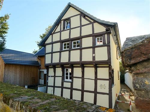 Holiday Home/Apartment - 5 persons -  - Dr.-Bayer-Str. - 53881 - Euskirchen