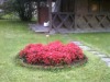 Billede 3