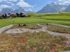 Bilde 16 - Ude