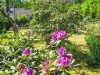 Bild 17 - Ude