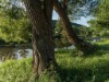 Billede 10