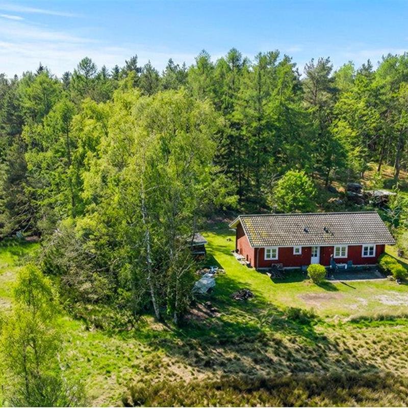 Ferienhaus - 6 Personen -  - Fasanvej - Fuglslev - 8400 - Ebeltoft