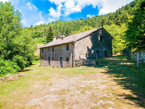 Bondehus - 6 personer -  - 52044 - Cortona