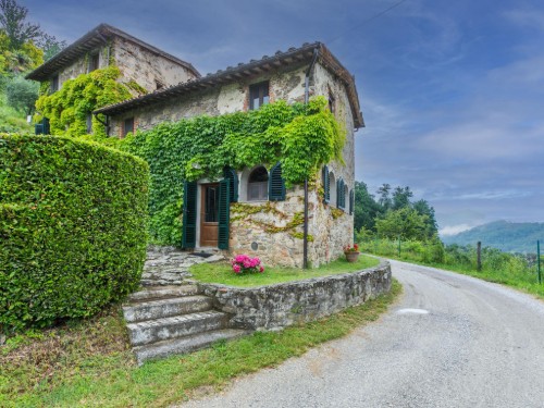 Holiday home - 2 persons -  - Pescia - 51010