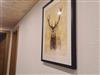 Bild 41
