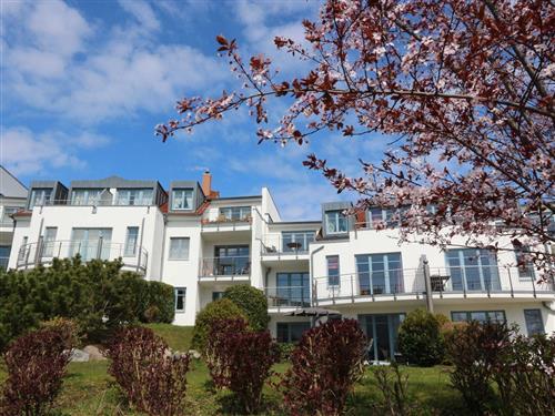 Feriecenter - 3 personer -  - Heimweg - 17454 - Zinnowitz