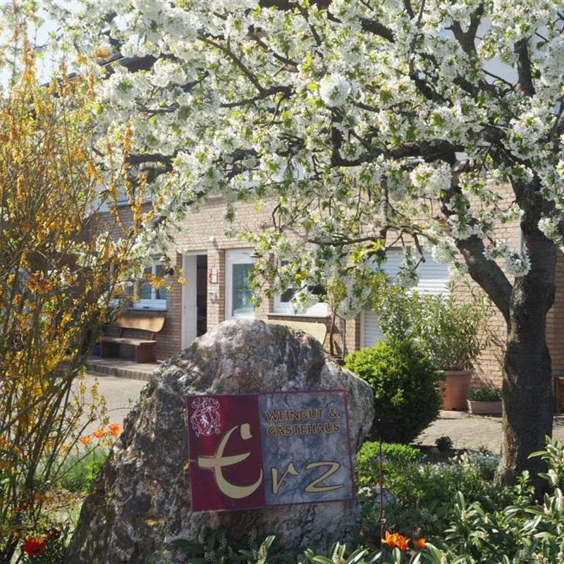 Ferielejlighed - 4 personer -  - Auf dem Siebent - 54472 - Brauneberg