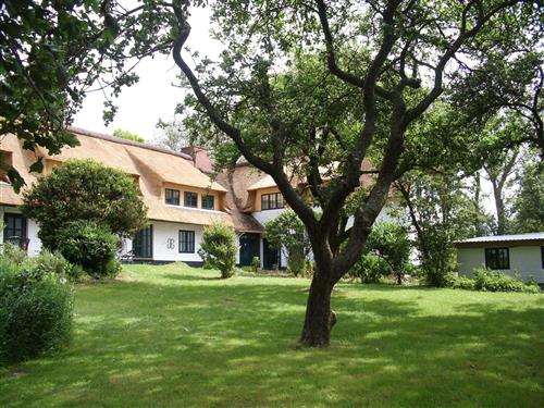 Ferielejlighed - 5 personer -  - Böhler Weg - 25826 - St. Peter-Ording