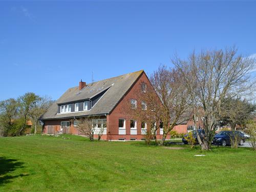 Ferienhaus - 2 Personen -  - Am Dorfteich - 23769 - Fehmarn Ot Kopendorf