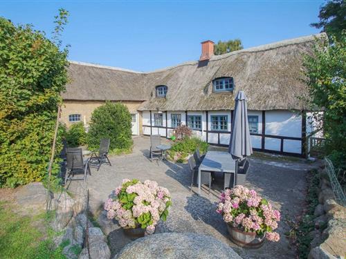 Ferienhaus - 8 Personen -  - Kærbakken - Hårdmark - 8305 - Samsö