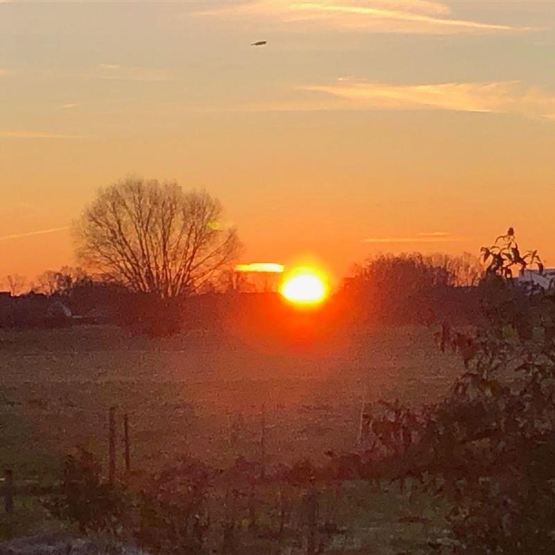 Ferielejlighed - 5 personer -  - Tiefenbruch - 31555 - Suthfeld