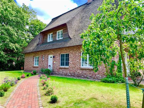 Ferielejlighed - 6 personer -  - Dorfstraße - 25826 - St. Peter-Ording