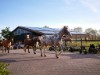 Bild 41