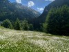 Bild 49