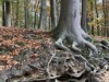Bild 43 - Aussen