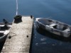 Bilde 7