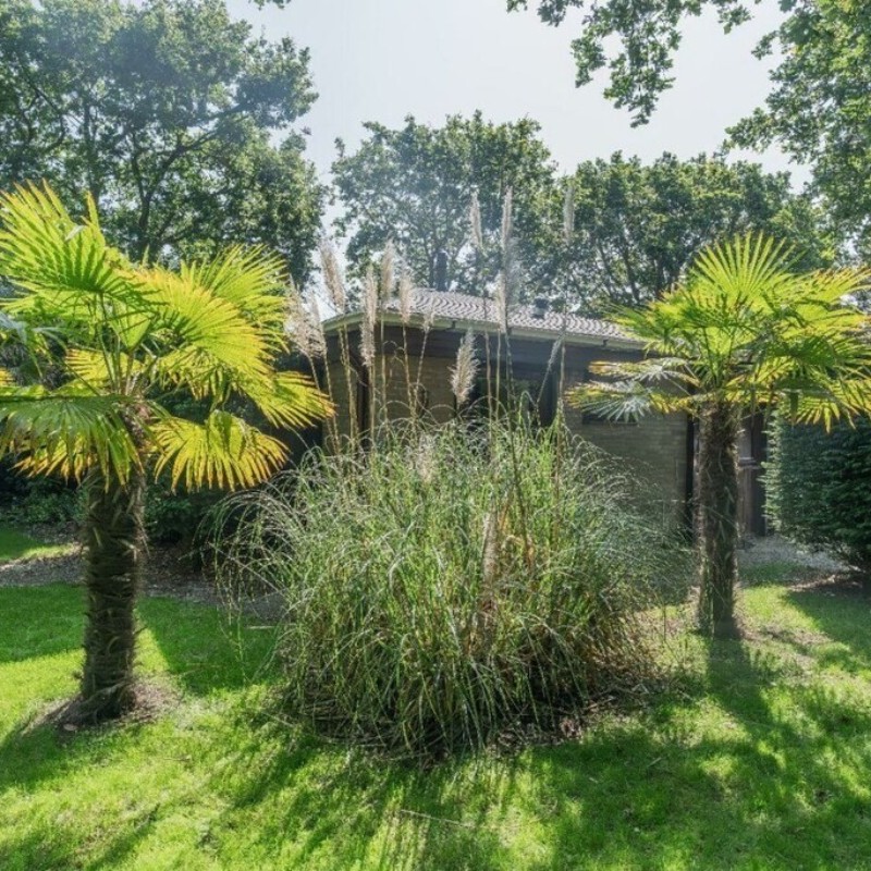 Sommerhus - 4 personer -  - 4325 HR - Renesse