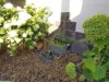 Bild 19