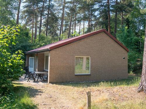 Semesterhus/Semesterlägenhet - 6 personer -  - Boshoffweg - 6961 LD - Eerbeek