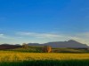 Billede 6