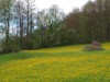 Bilde 15 - Ude
