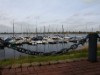 Billede 31