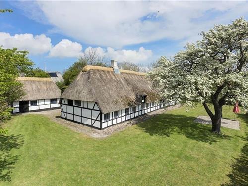 Ferienhaus - 4 Personen -  - Risemarksvej - Store Rise - 5970 - Ärösköbing