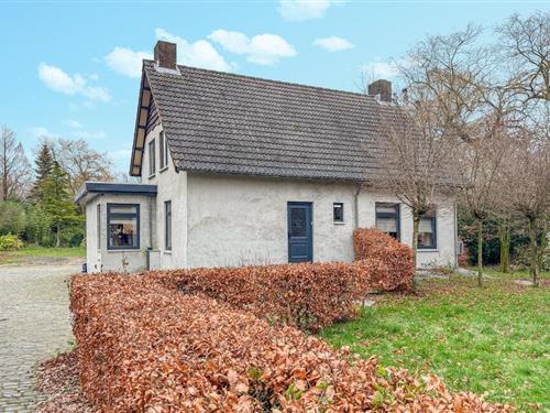 Sommerhus - 8 personer -  - Hooijdonk - 5694 PA - Son En Breugel