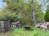 Bild 24