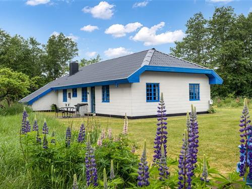 Ferienhaus - 6 Personen -  - Otto Nielsensvej - Læsø, Byrum - 9940 - Läsö