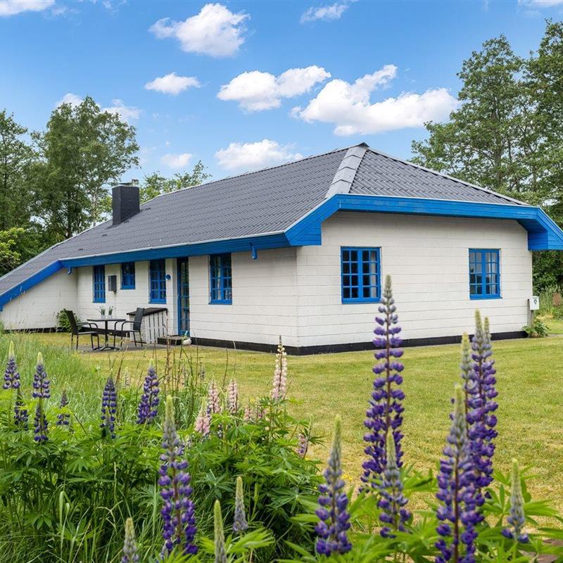 Ferienhaus - 6 Personen -  - Otto Nielsensvej - Læsø, Byrum - 9940 - Läsö