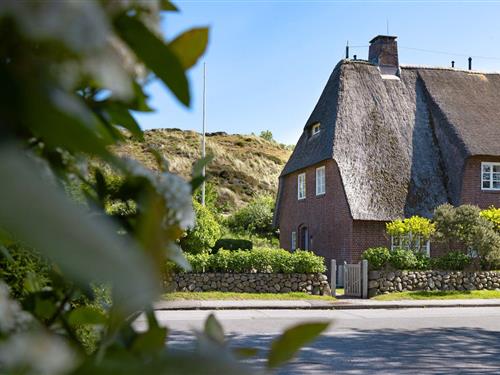 Holiday home - 8 persons -  - Süderhörn - 25992 - List Auf Sylt