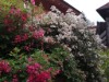 Bild 21