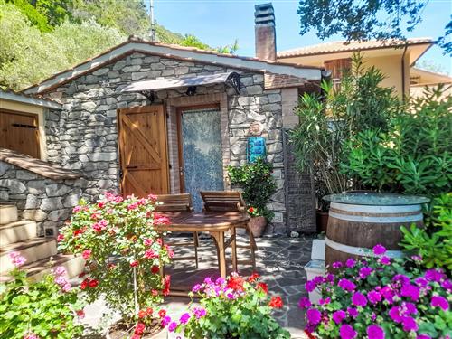 Ferienhaus - 4 Personen -  - Castellina Marittima - 56040
