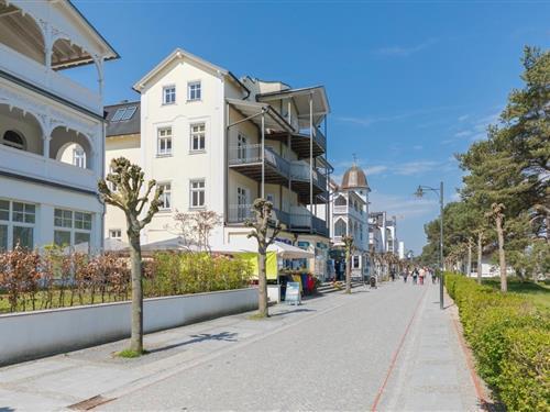 Feriehus / leilighet - 3 personer -  - Strandpromenade - 18609 - Ostseebad Binz