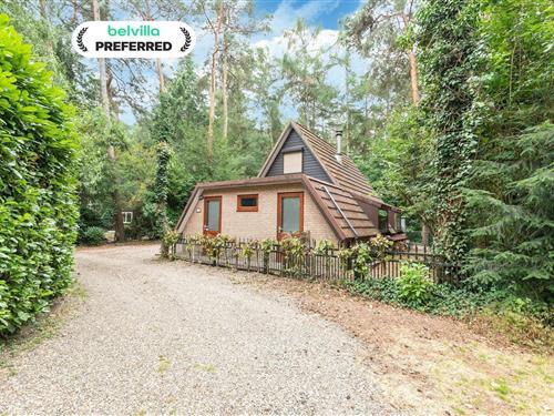 Sommerhus - 6 personer -  - 3621 - Lanaken