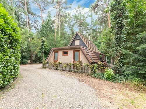 Ferienhaus - 6 Personen -  - 3621 - Lanaken