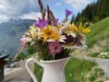 Bild 24