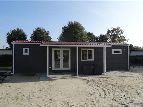 Chalet - 6 persons -  - 5071RR - Udenhout