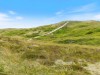 Bilde 31