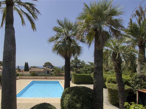 Ferienhaus - 3 Personen -  - La Ciotat - 13600