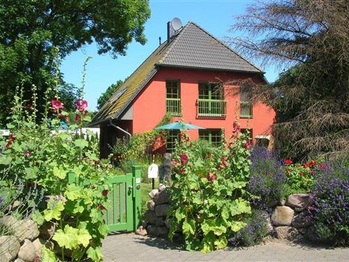 Ferieleilighet - 4 personer -  - Jagdhaus - 18375 - Wieck A. Darß