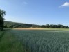 Image 25