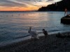Bild 18