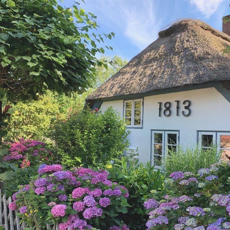 Sommerhus - 5 personer -  - Hellschener Chaussee - 25764 - Süderdeich