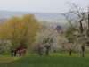 Bilde 27