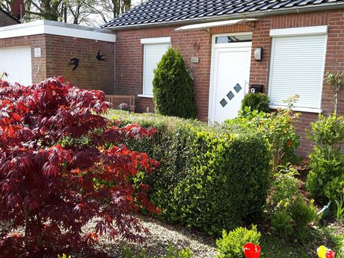 Sommerhus - 4 personer -  - Am Schwalbennest - 26524 - Berumbur