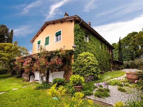 Sommerhus - 5 personer -  - 55100 - Lucca