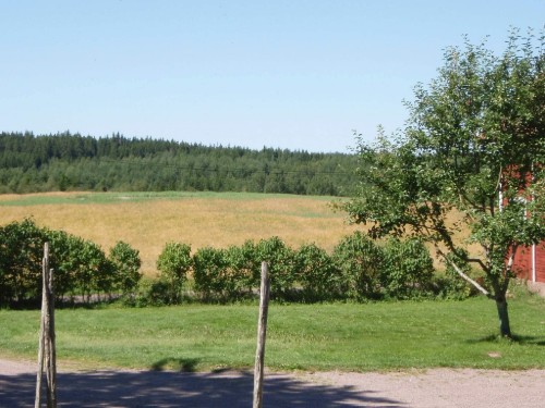  - 8 personer -  - Skattegården - 59892 - Vimmerby
