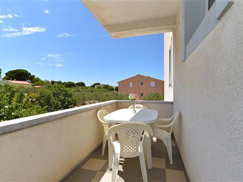 Holiday apartment - 3 persons -  - Štinjan - 52100 - Štinjan